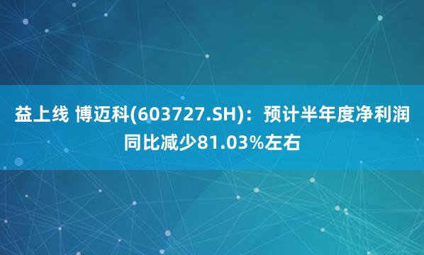 益上线 博迈科(603727.SH)：预计半年度净利润同比减少81.03%左右