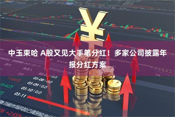 中玉束哈 A股又见大手笔分红！多家公司披露年报分红方案