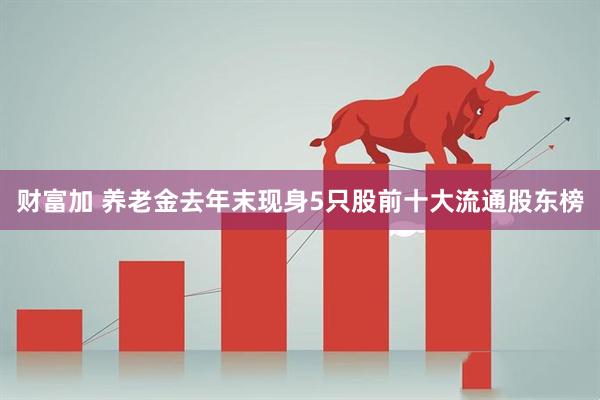 财富加 养老金去年末现身5只股前十大流通股东榜