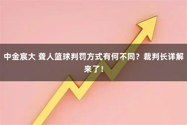 中金宸大 聋人篮球判罚方式有何不同？裁判长详解来了！